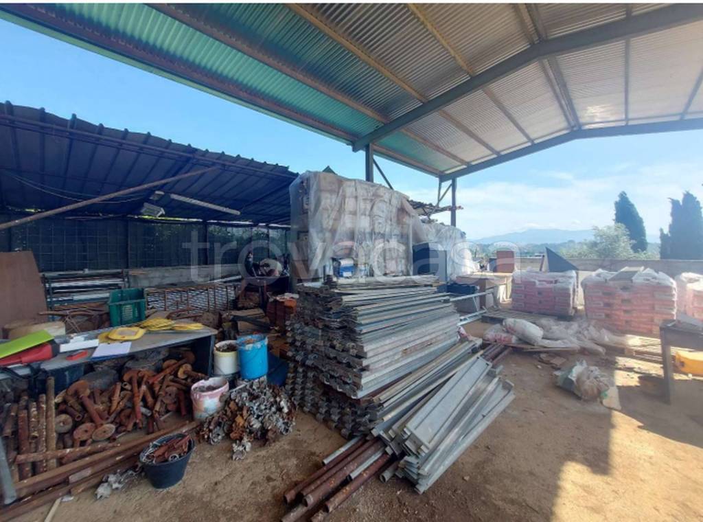 immagine annuncio 5 di 11