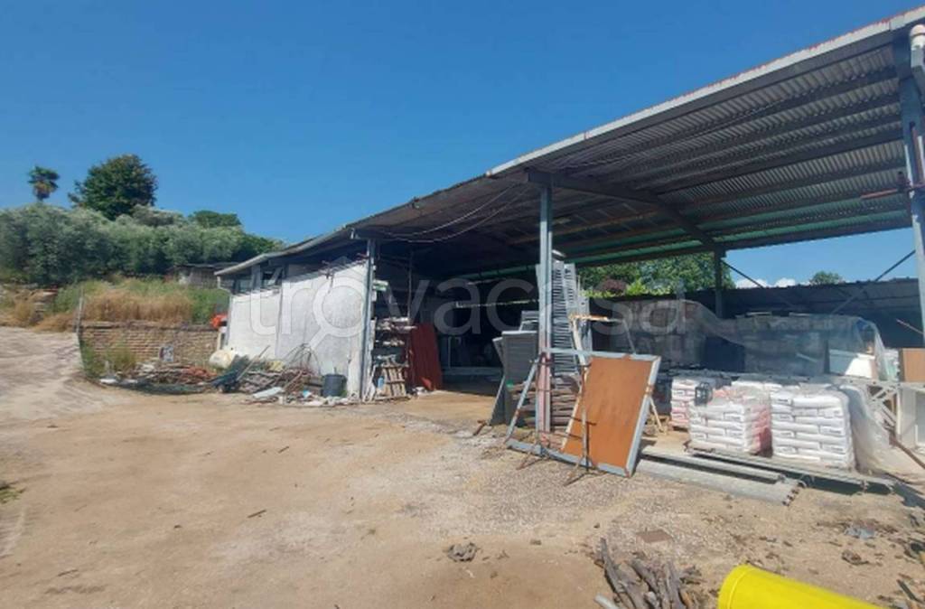 immagine annuncio 8 di 11