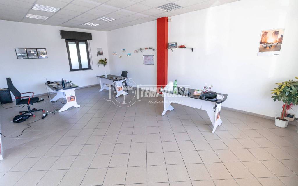 immagine annuncio 5 di 15