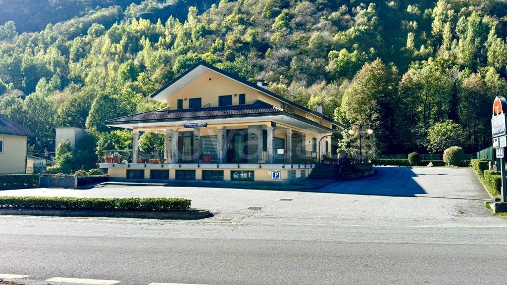 immagine annuncio 4 di 15