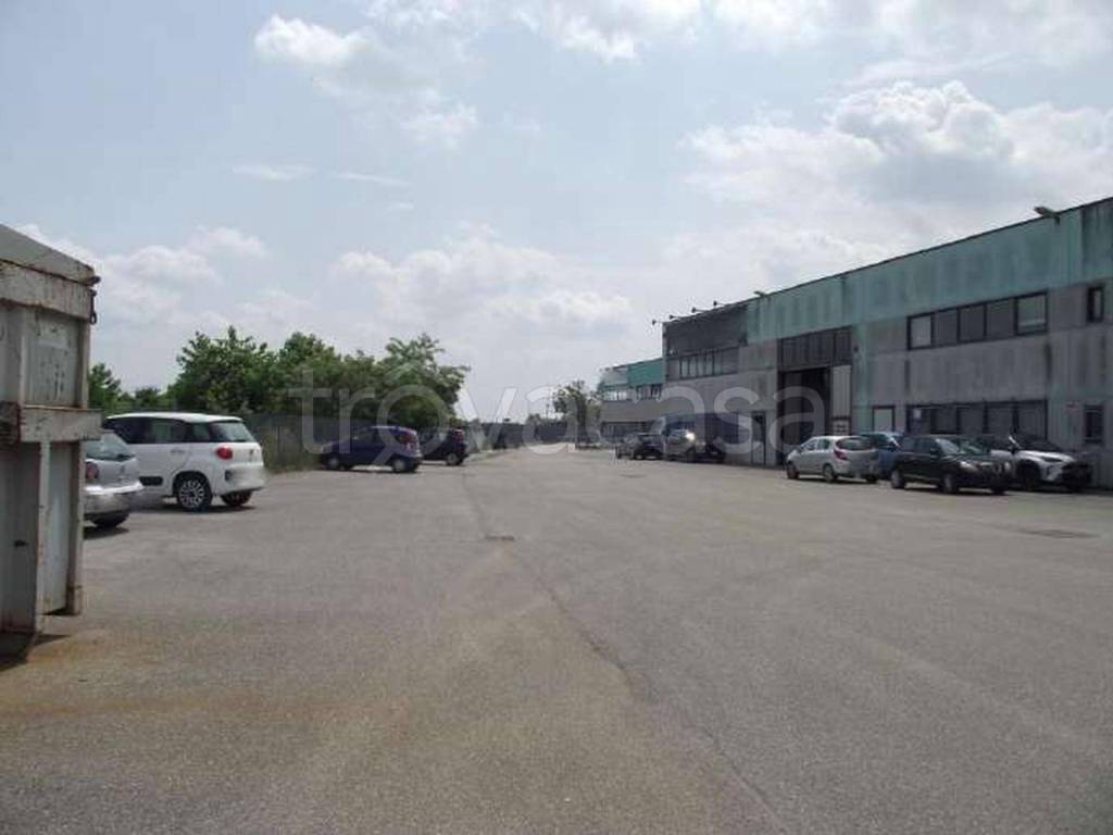 immagine annuncio 3 di 15