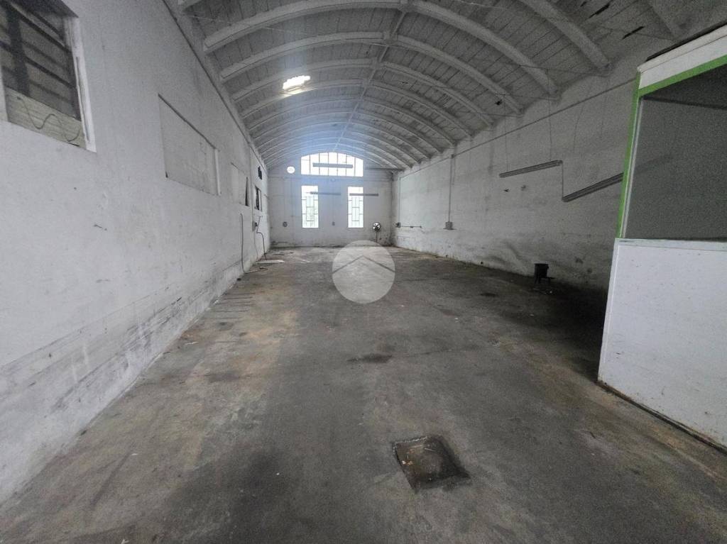 immagine annuncio 1 di 4