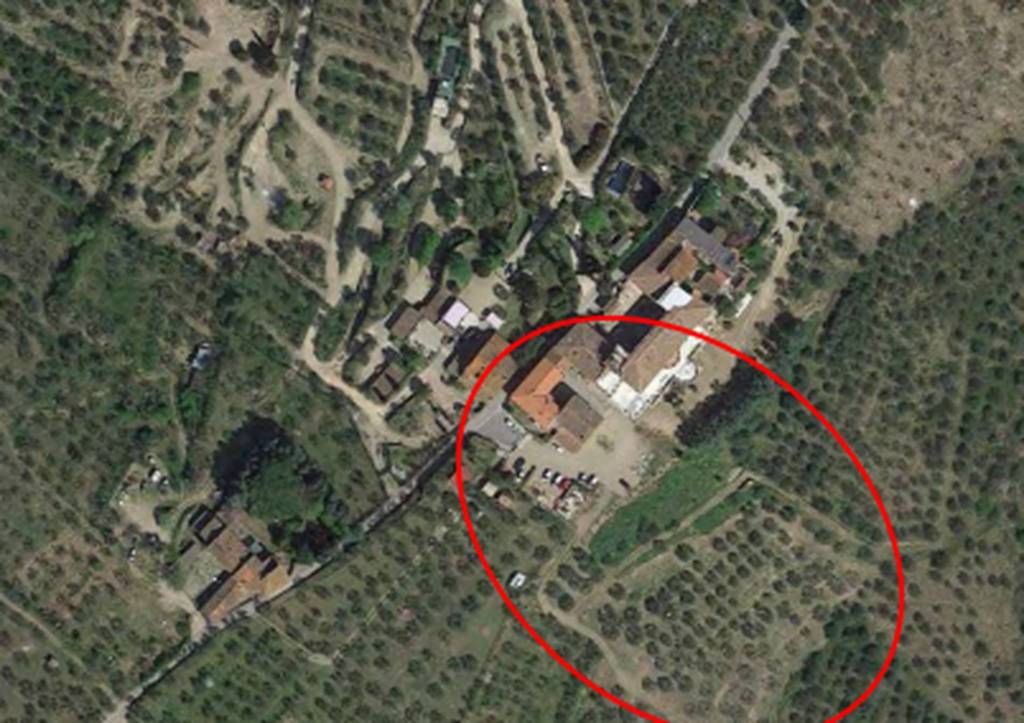 immagine annuncio 3 di 12