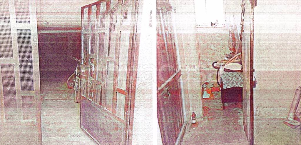 immagine annuncio 10 di 13