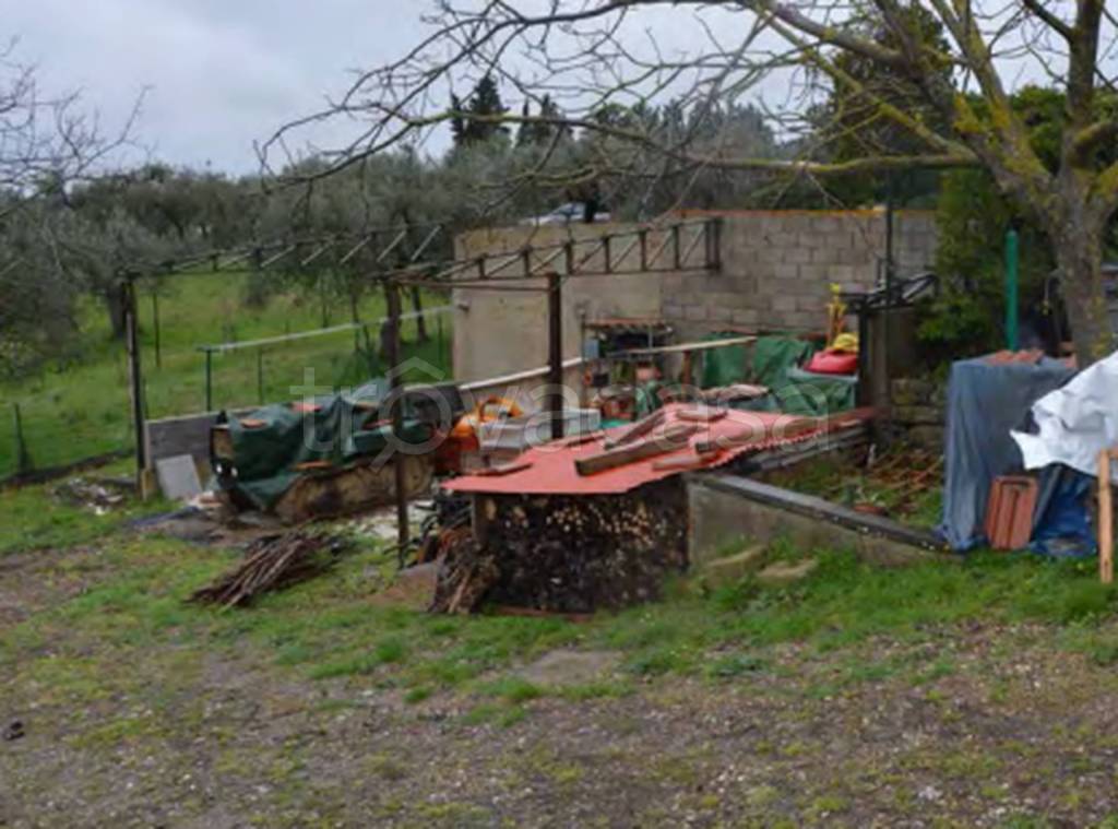 immagine annuncio 5 di 12