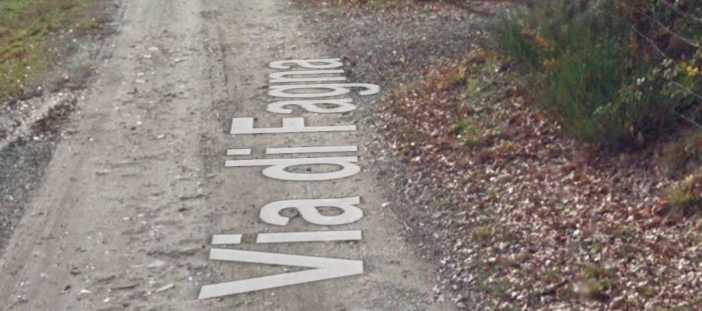 immagine annuncio 11 di 12