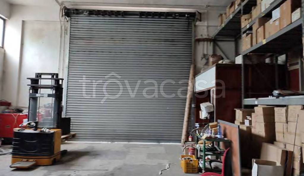 immagine annuncio 6 di 11