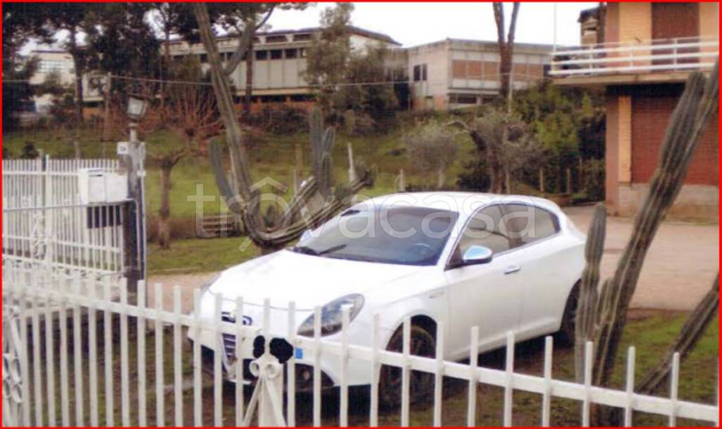 immagine annuncio 3 di 12