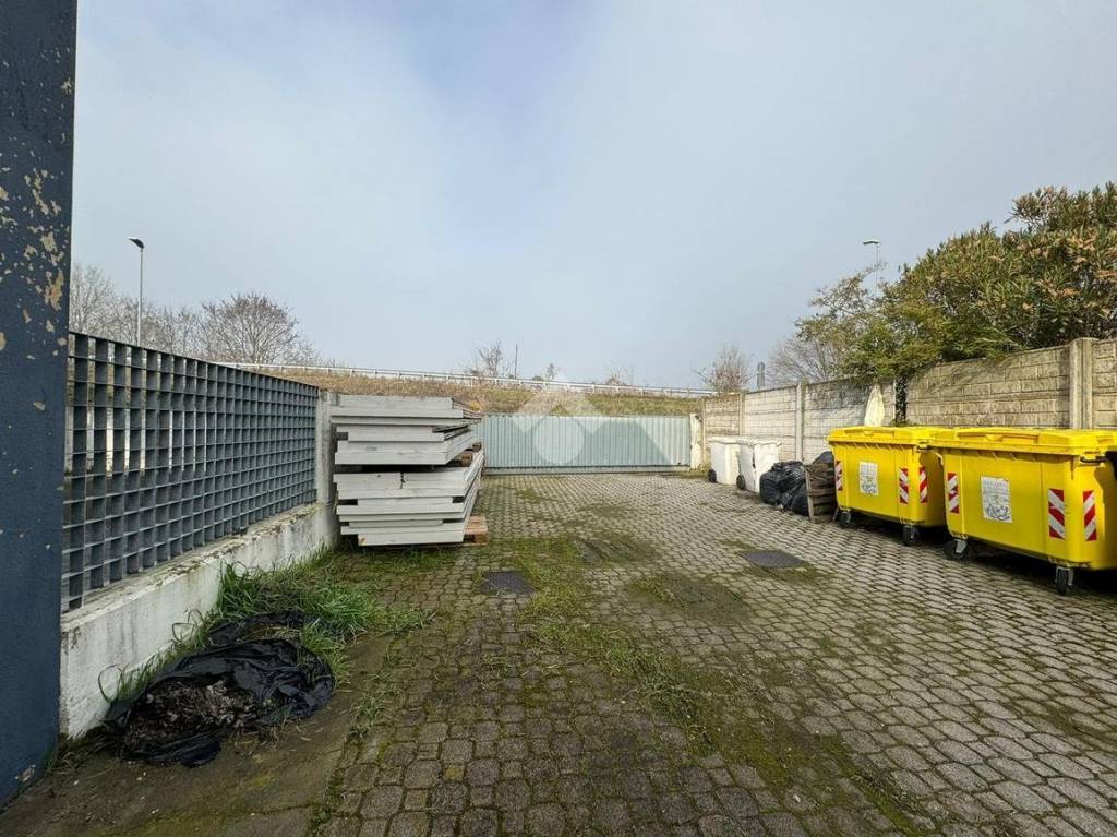 immagine annuncio 2 di 15