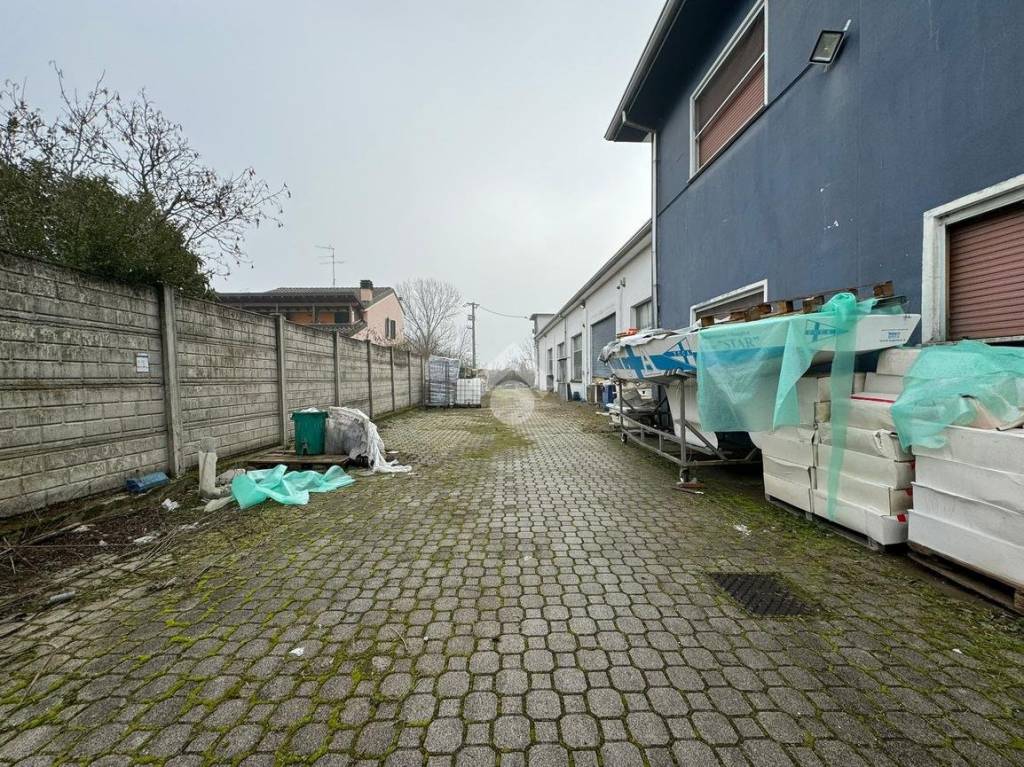 immagine annuncio 9 di 15