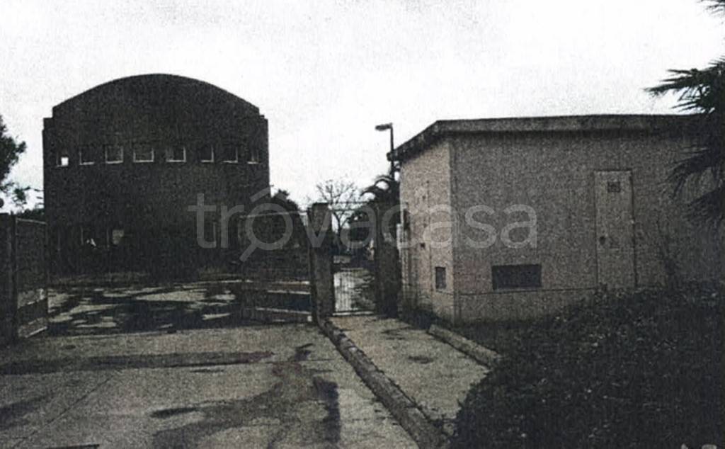 immagine annuncio 1 di 12