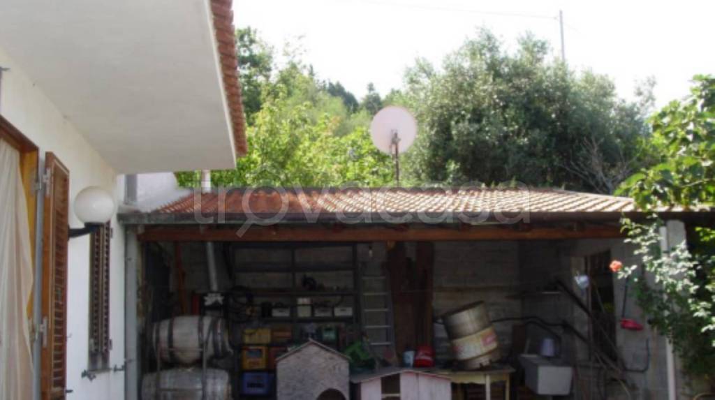 immagine annuncio 4 di 13