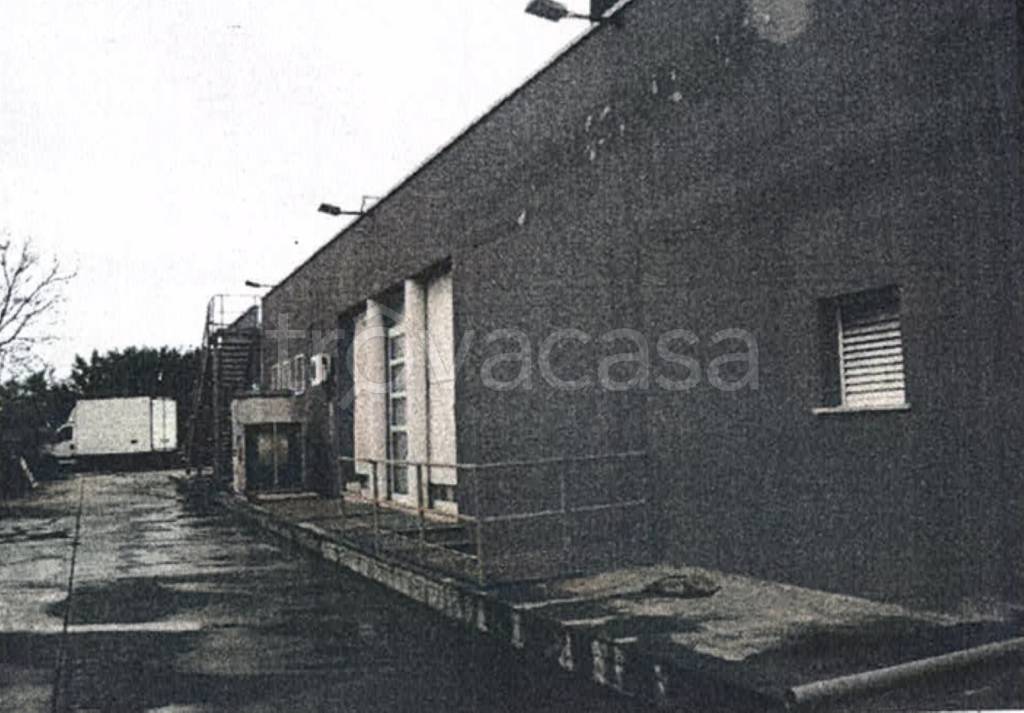 immagine annuncio 6 di 11