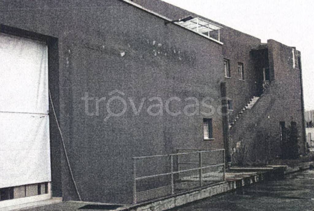 immagine annuncio 7 di 11