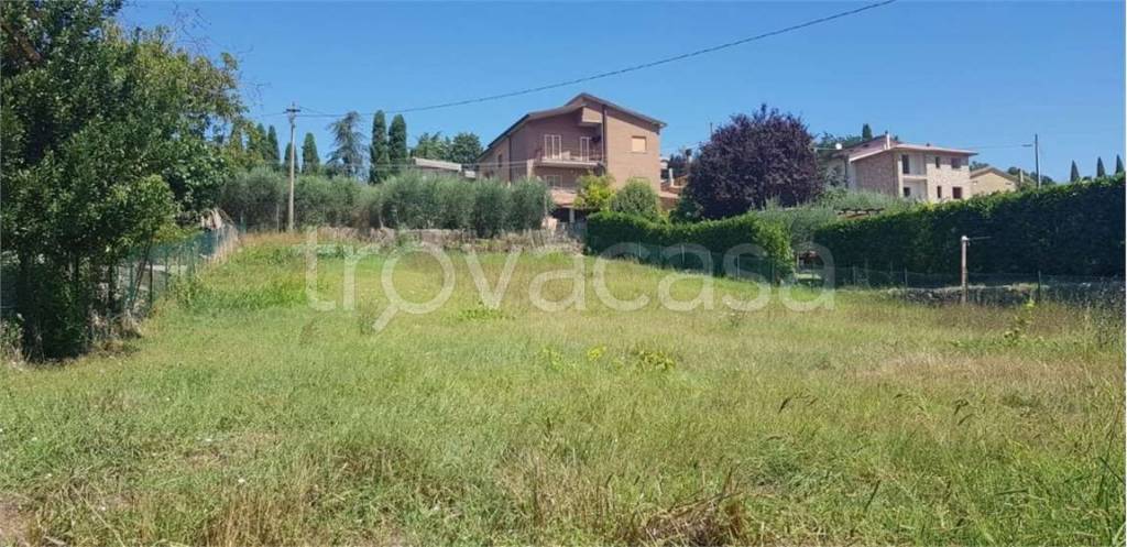 immagine annuncio 1 di 2