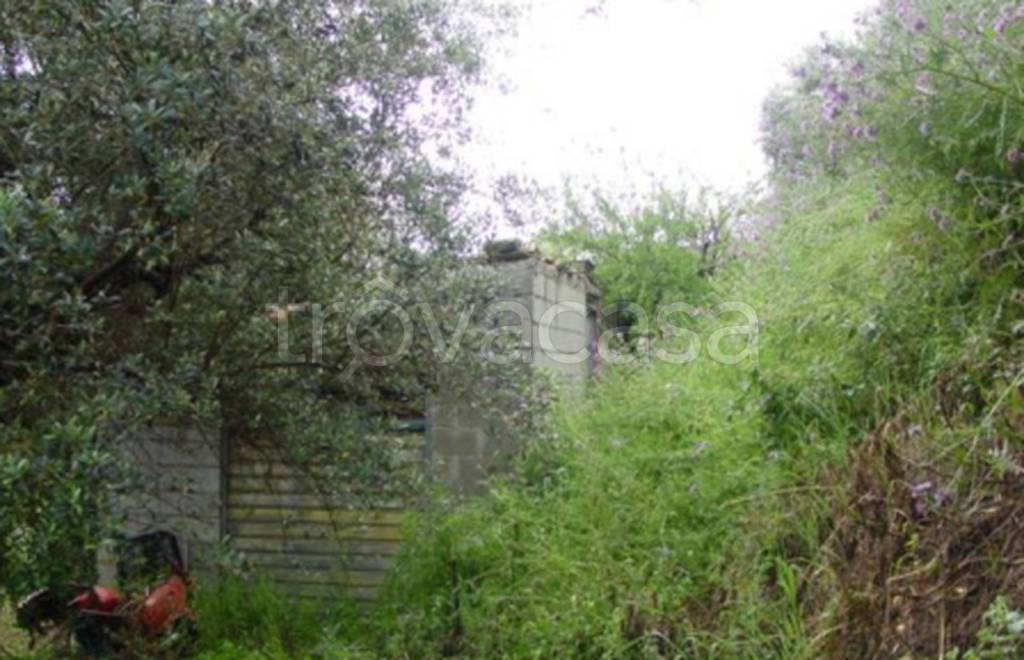 immagine annuncio 5 di 11