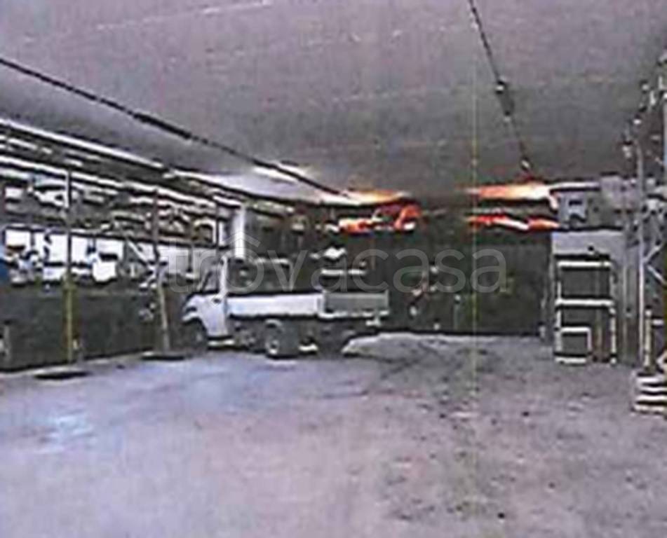 immagine annuncio 7 di 12