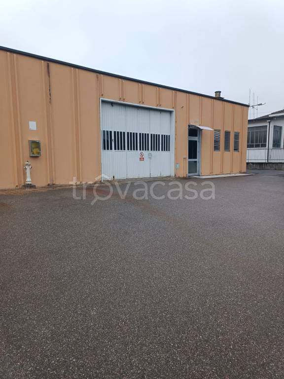 immagine annuncio 7 di 8