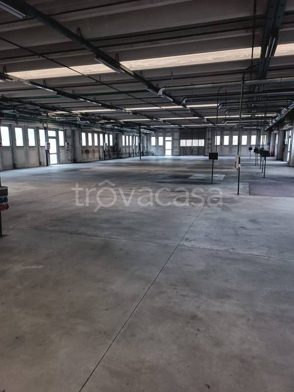 immagine annuncio 4 di 8