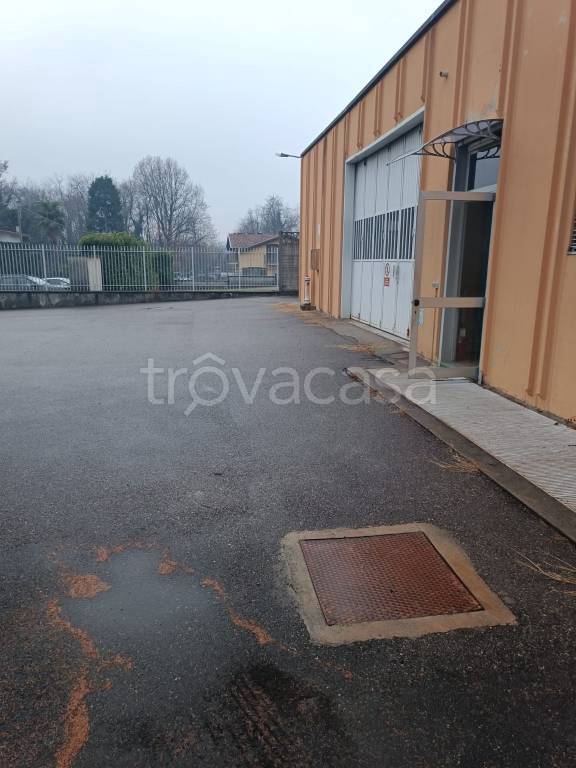 immagine annuncio 6 di 8