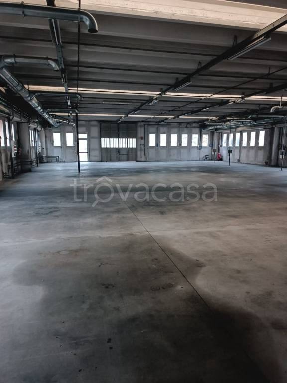 immagine annuncio 3 di 8