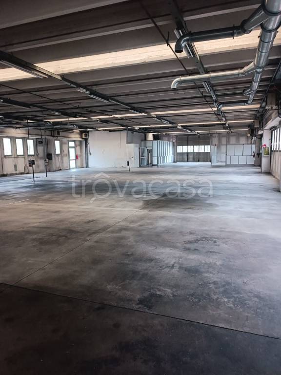 immagine annuncio 2 di 8