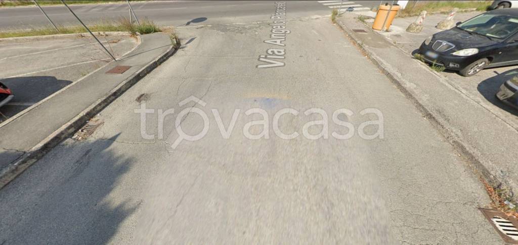 immagine annuncio 4 di 8