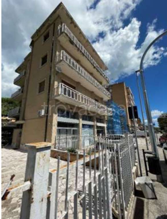 immagine annuncio 5 di 12