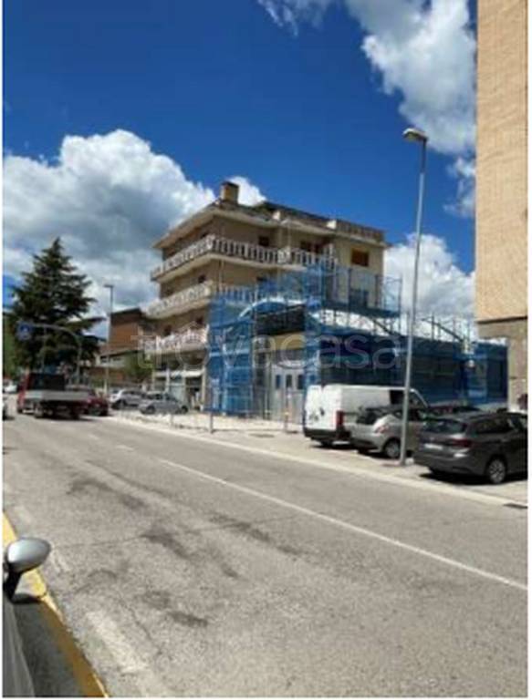 immagine annuncio 6 di 12