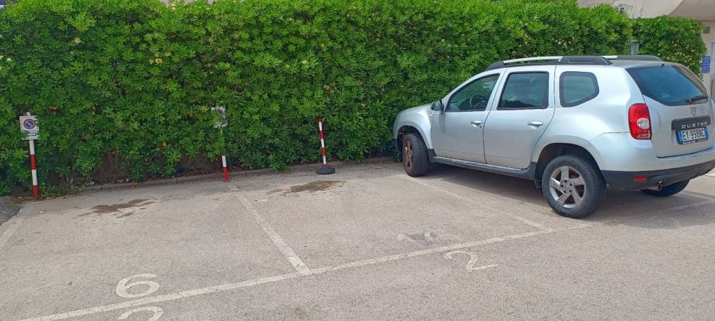 immagine annuncio 5 di 15