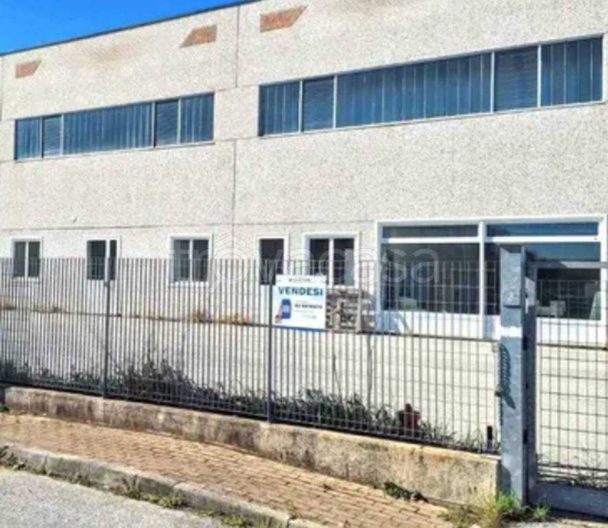 immagine annuncio 4 di 13