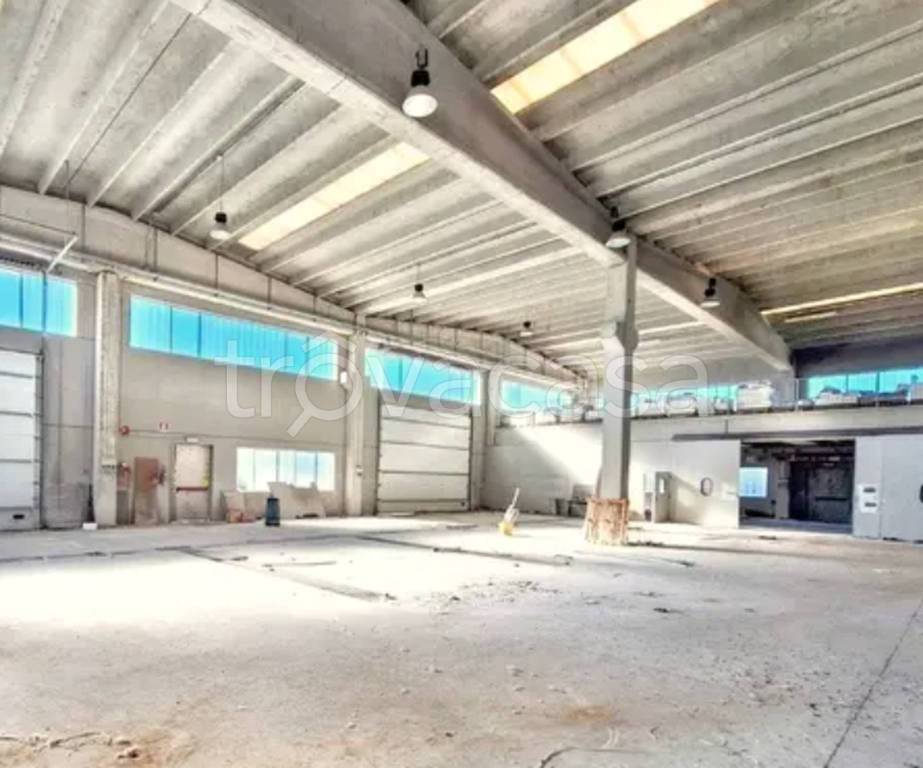 immagine annuncio 7 di 13