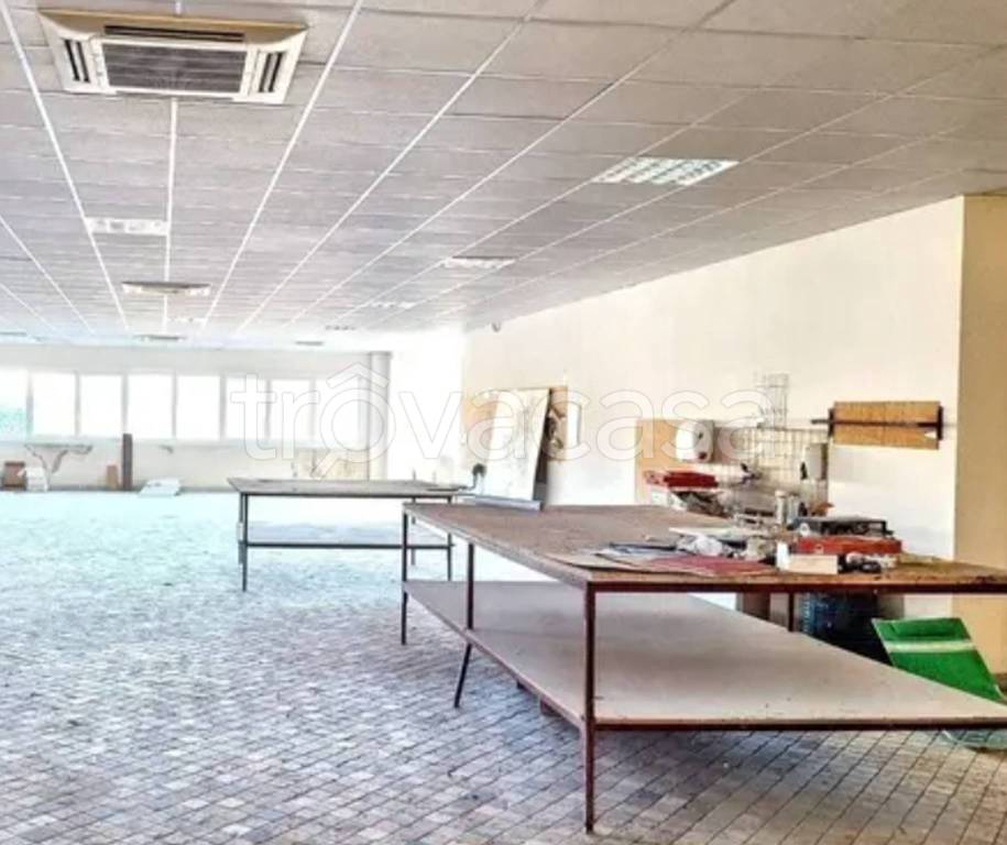 immagine annuncio 9 di 13