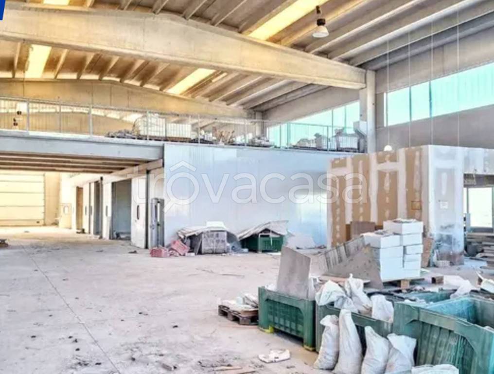 immagine annuncio 11 di 13