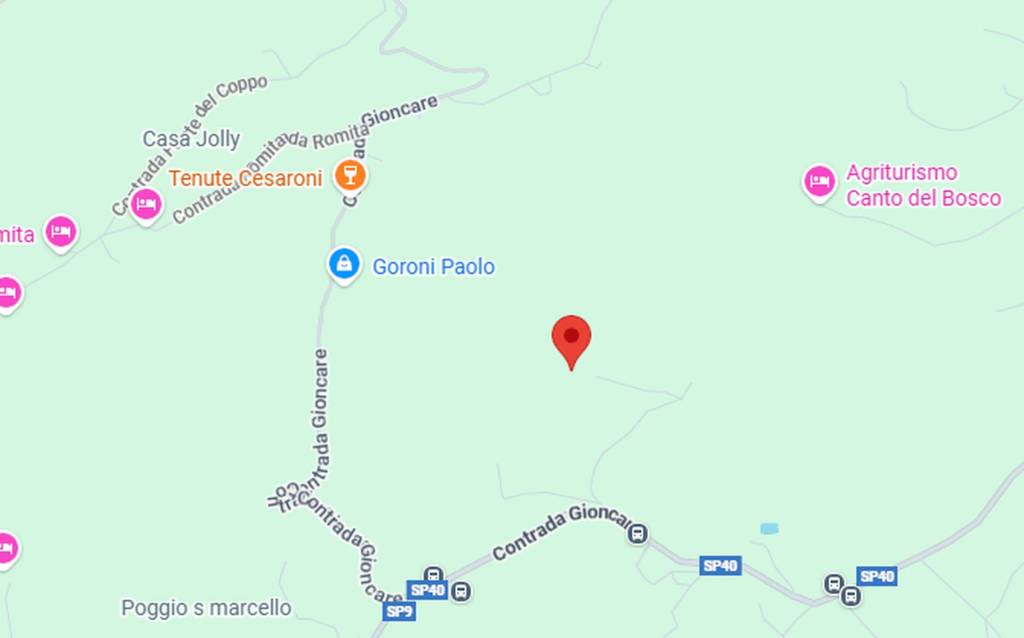 immagine annuncio 2 di 10