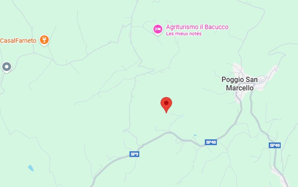 immagine annuncio 3 di 10