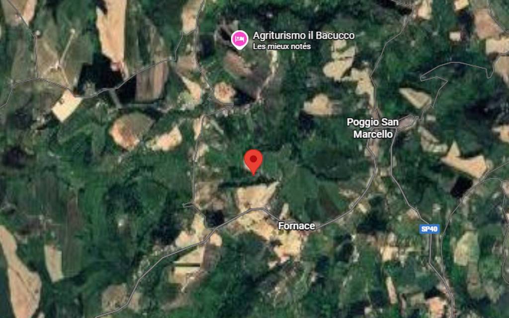 immagine annuncio 6 di 10