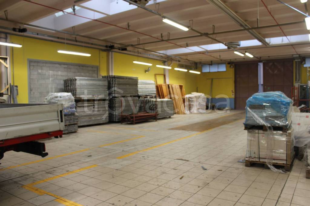 immagine annuncio 4 di 11