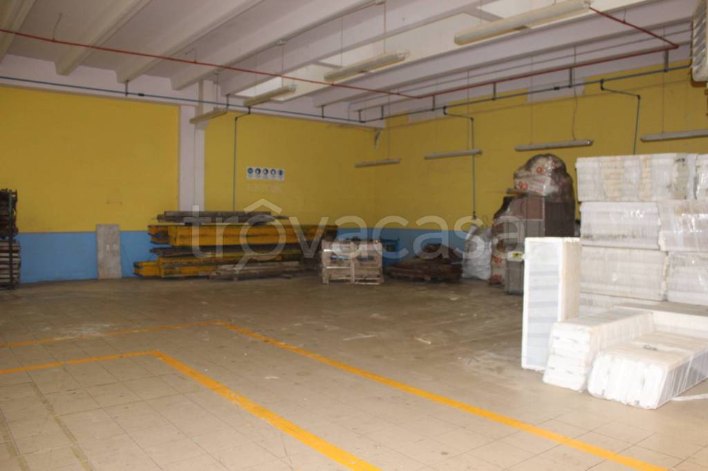 immagine annuncio 5 di 11