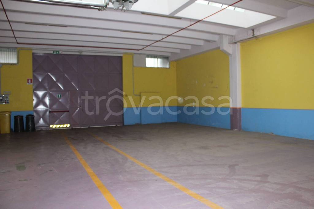 immagine annuncio 6 di 11