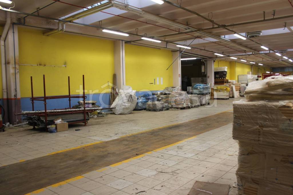 immagine annuncio 10 di 11