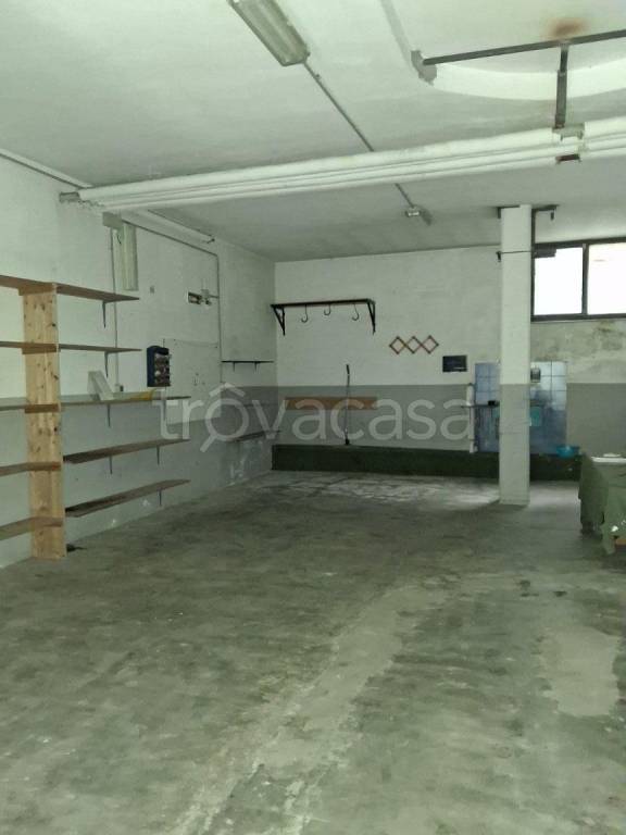 immagine annuncio 8 di 14