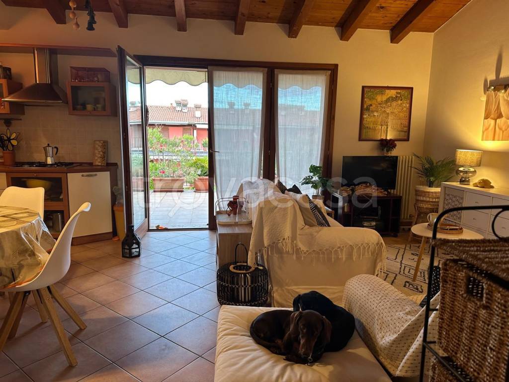 immagine annuncio 11 di 15