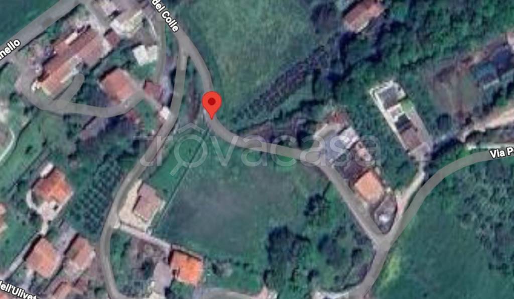 immagine annuncio 5 di 11