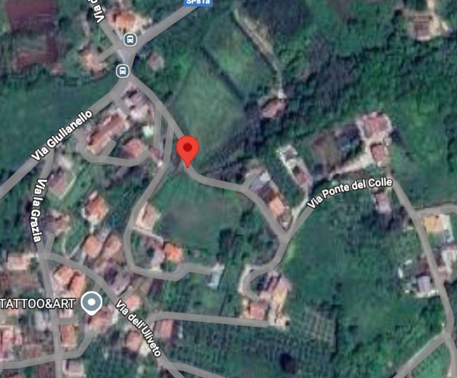 immagine annuncio 6 di 11