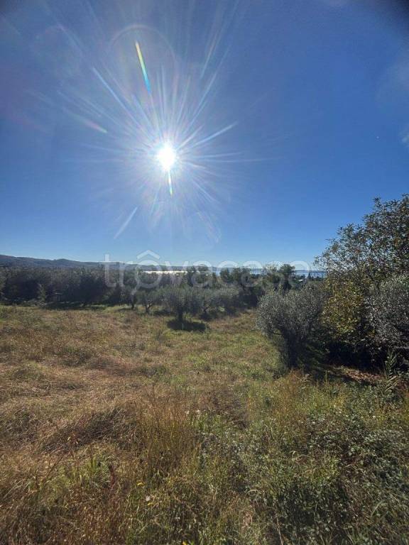 immagine annuncio 1 di 6