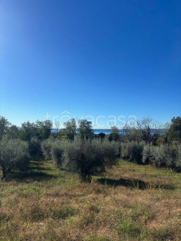 immagine annuncio 2 di 6