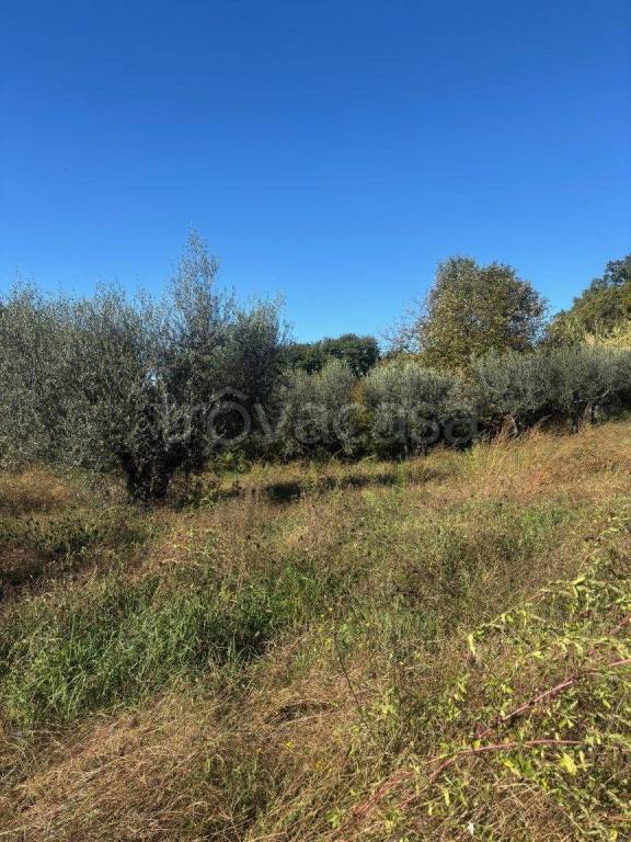 immagine annuncio 4 di 6