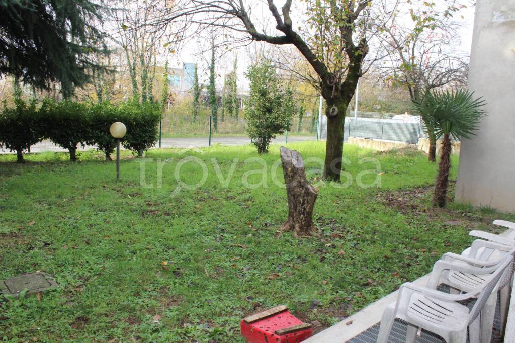 immagine annuncio 12 di 14