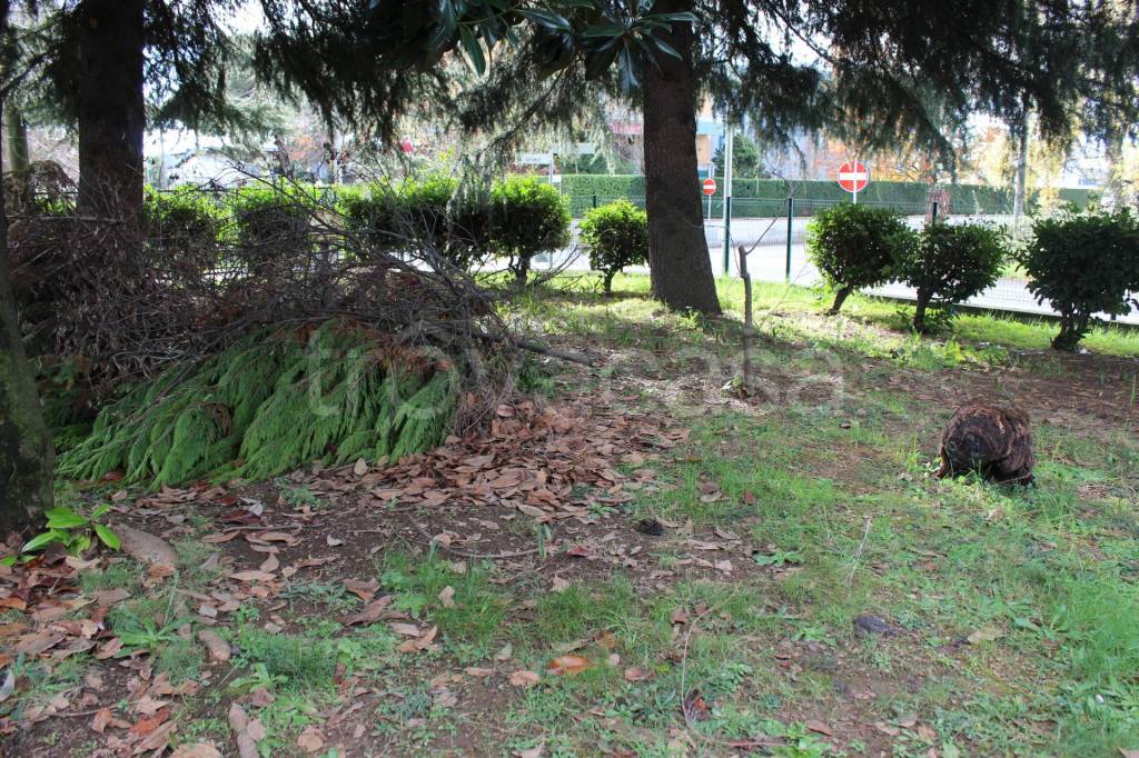 immagine annuncio 13 di 14